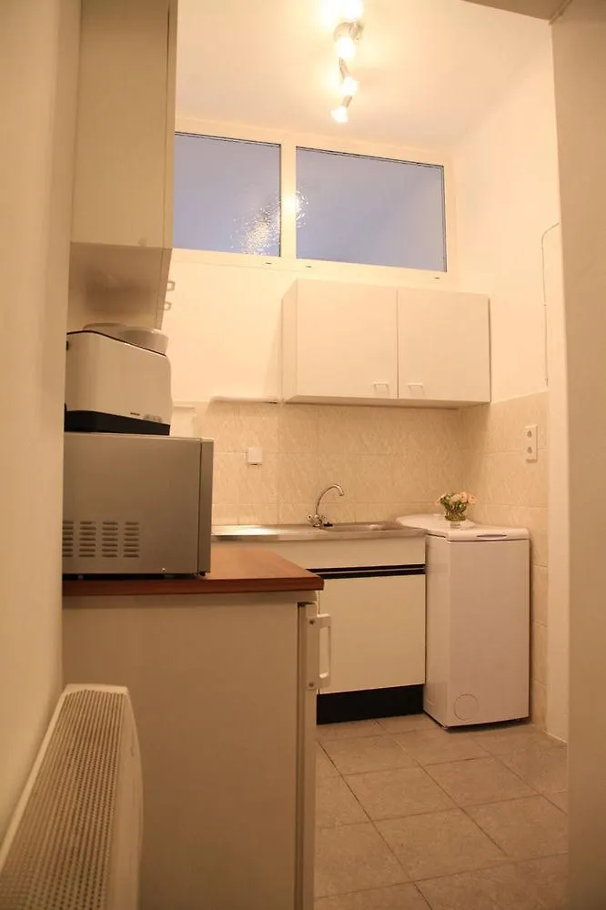 וינה Raisa Apartments Randhartingergasse 12 אוסטריה